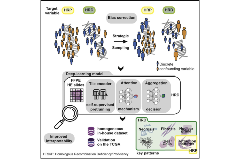 Computational Pathology : from computer aided diagnosis to a new generation of biomarkers